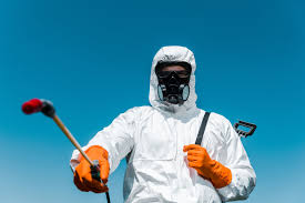 Best Termite Inspection and Treatment  in Hudson Bend, TX